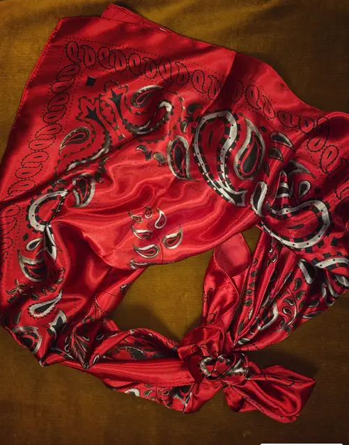 Brilliant Red Bandana Wild Rag